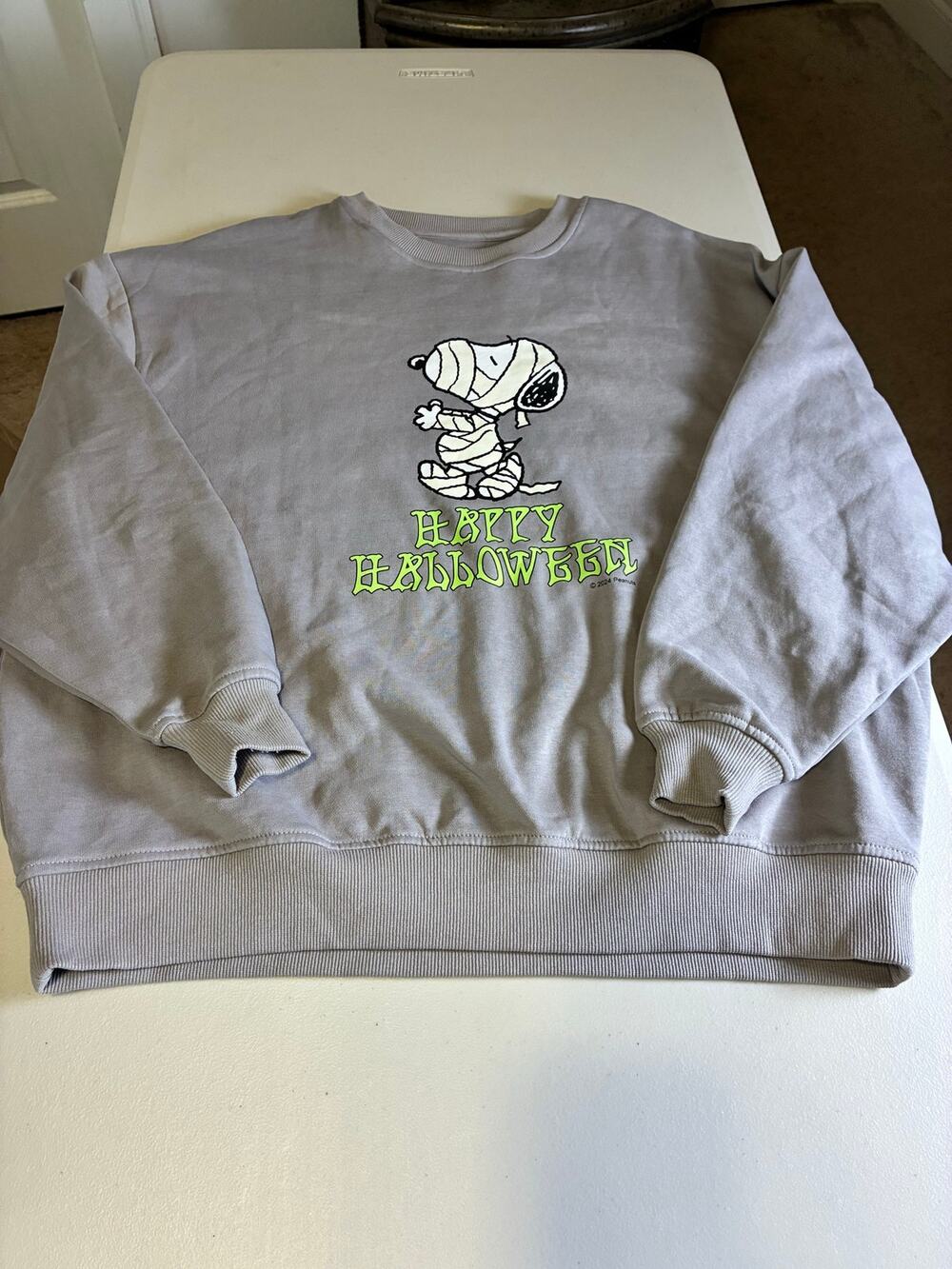 Peanuts Snoopy Mummy Happy Halloween Sweatshirt Size Small Gray Crewneck 2024
